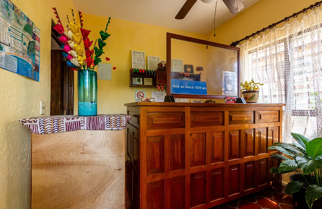Hotel Delfin-1