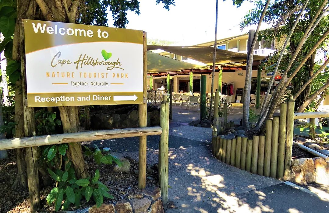 Cape Hillsborough Nature Tourist Park-1