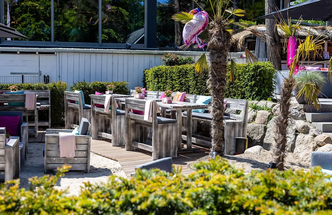 The Flamingo-1