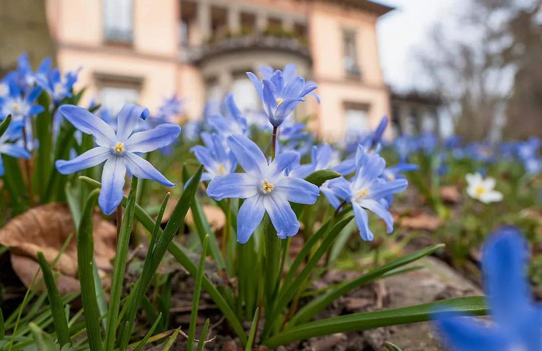 Schloss Hotel Wasserburg-1