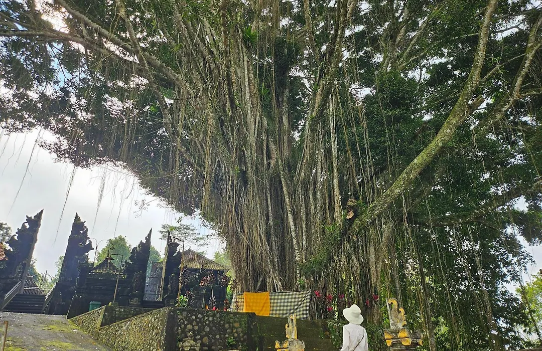 Puri Dajuma Beach Eco-Resort & Spa-1