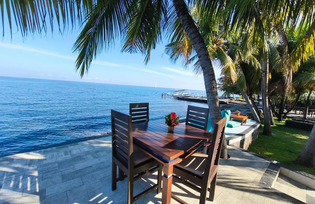 1000 Dream Bungalow-1