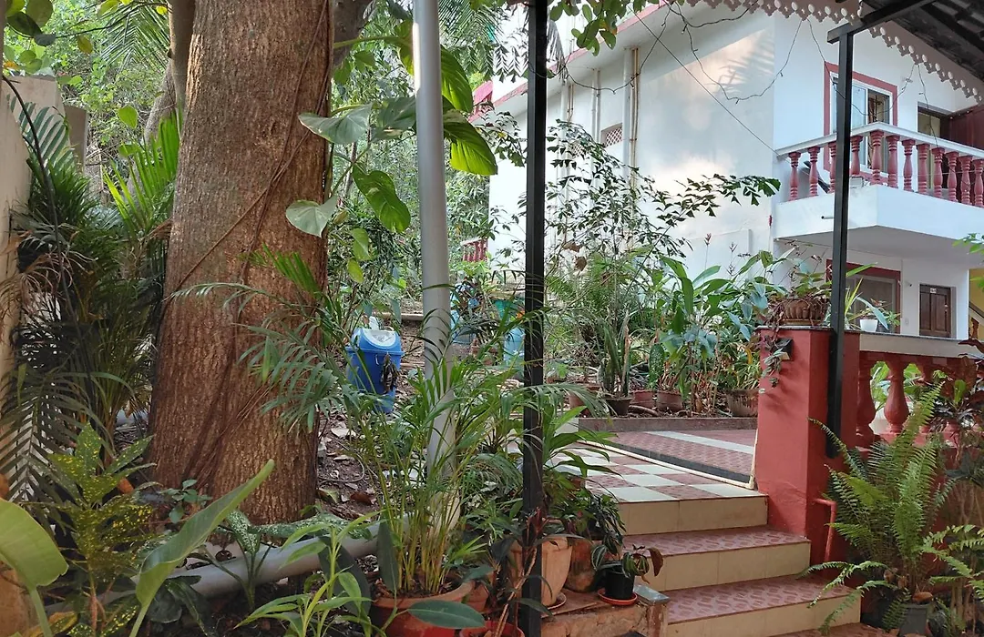 Casa De Olga-1