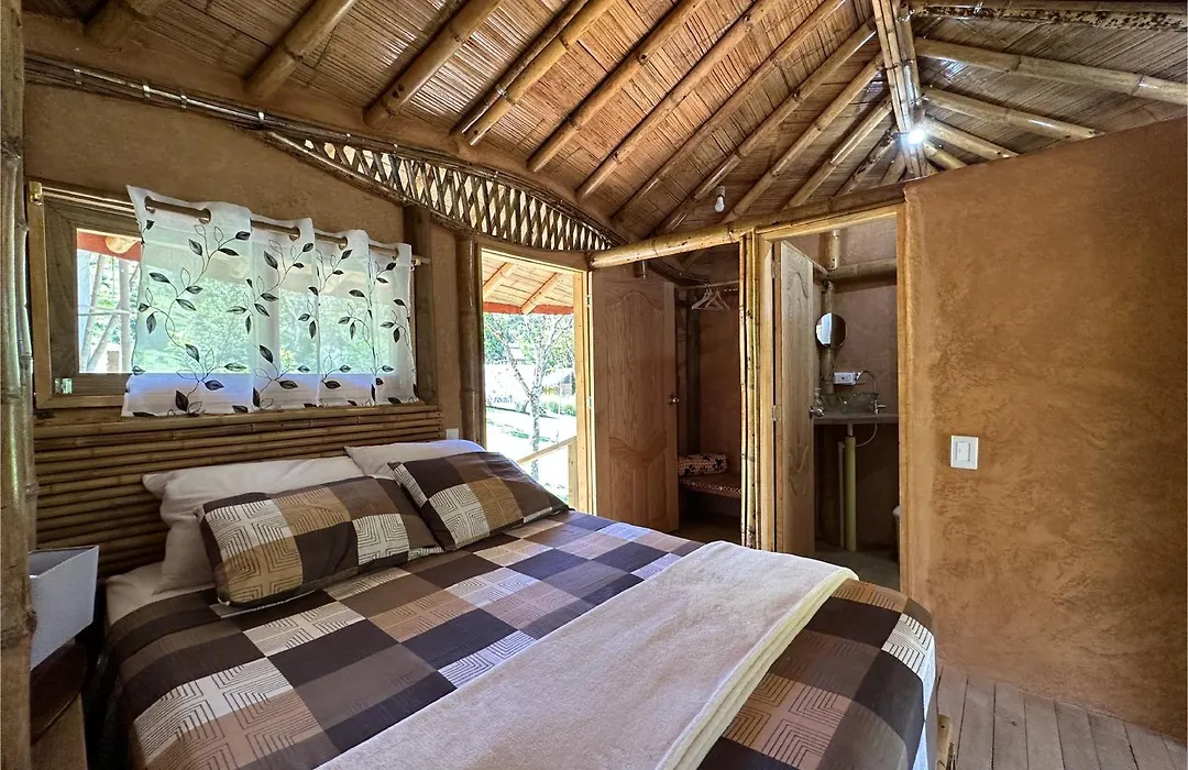 La Perla Negra - Black Pearl Eco Hostel-1