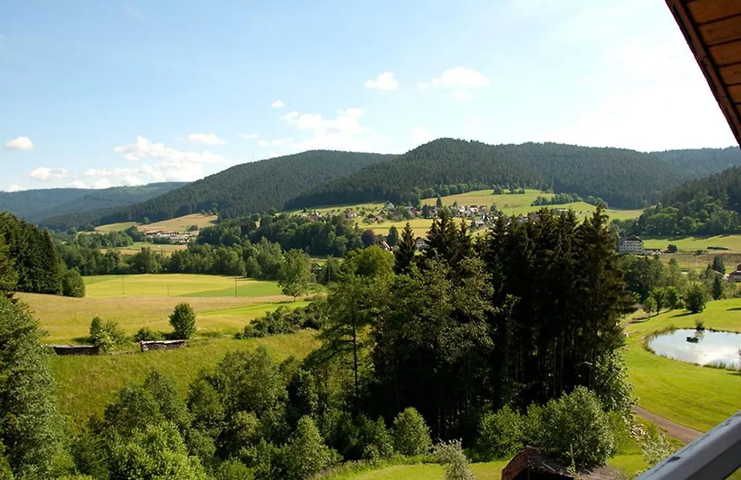 Ailwaldhof Parkhotel & Spa-1