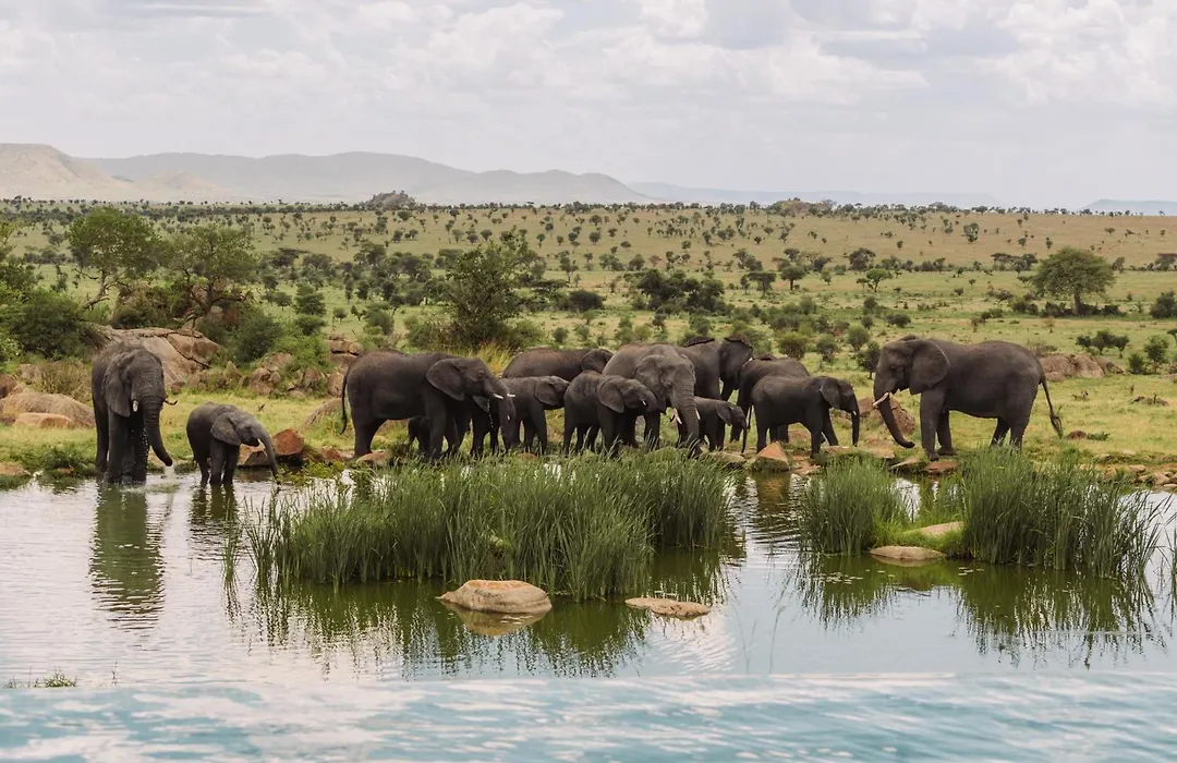 Four Seasons Safari Lodge Serengeti-1