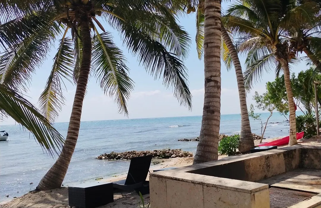 Alea Tulum-1