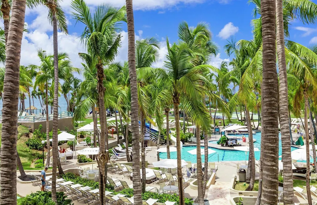 Hilton Ponce Golf & Casino Resort-1