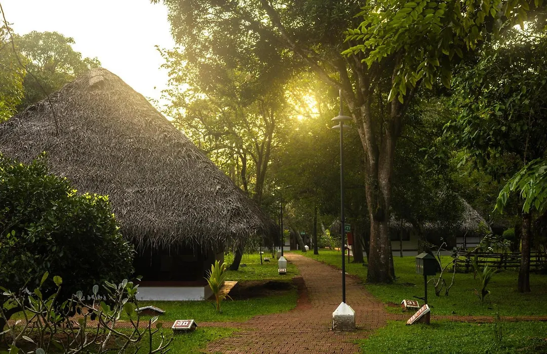 Marari Beach Resort Alleppey - A Cgh Earth Experience-1
