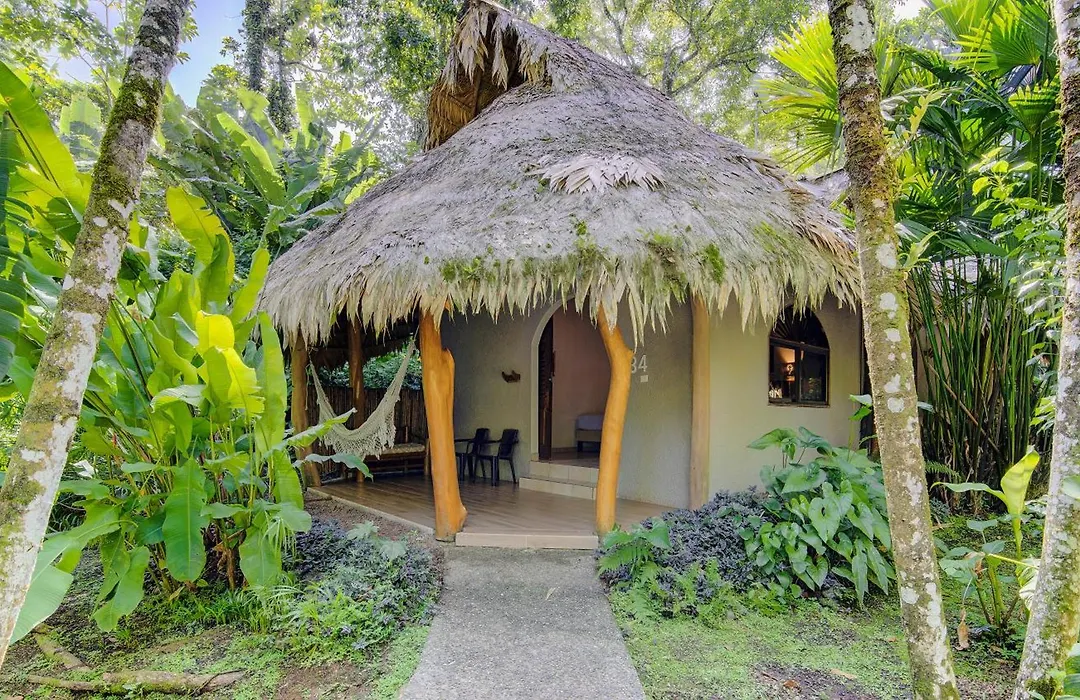 Cariblue Beach And Jungle Resort-1