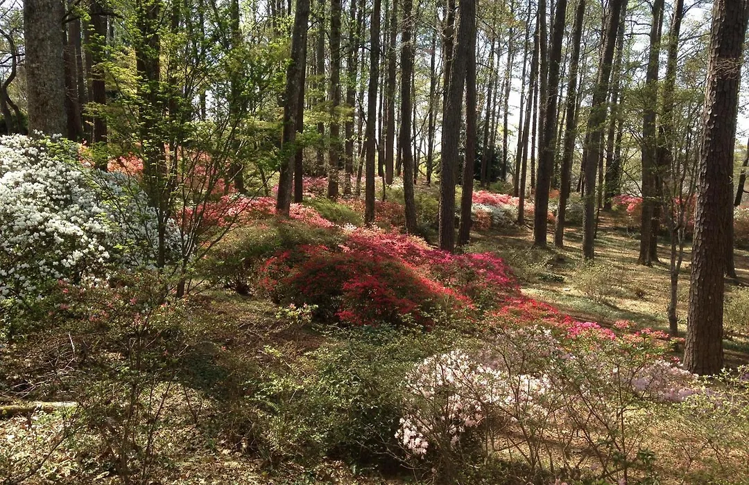 Callaway Resort & Gardens-1
