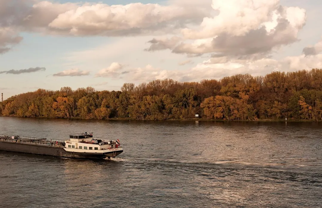 Hotel Am Rhein-1