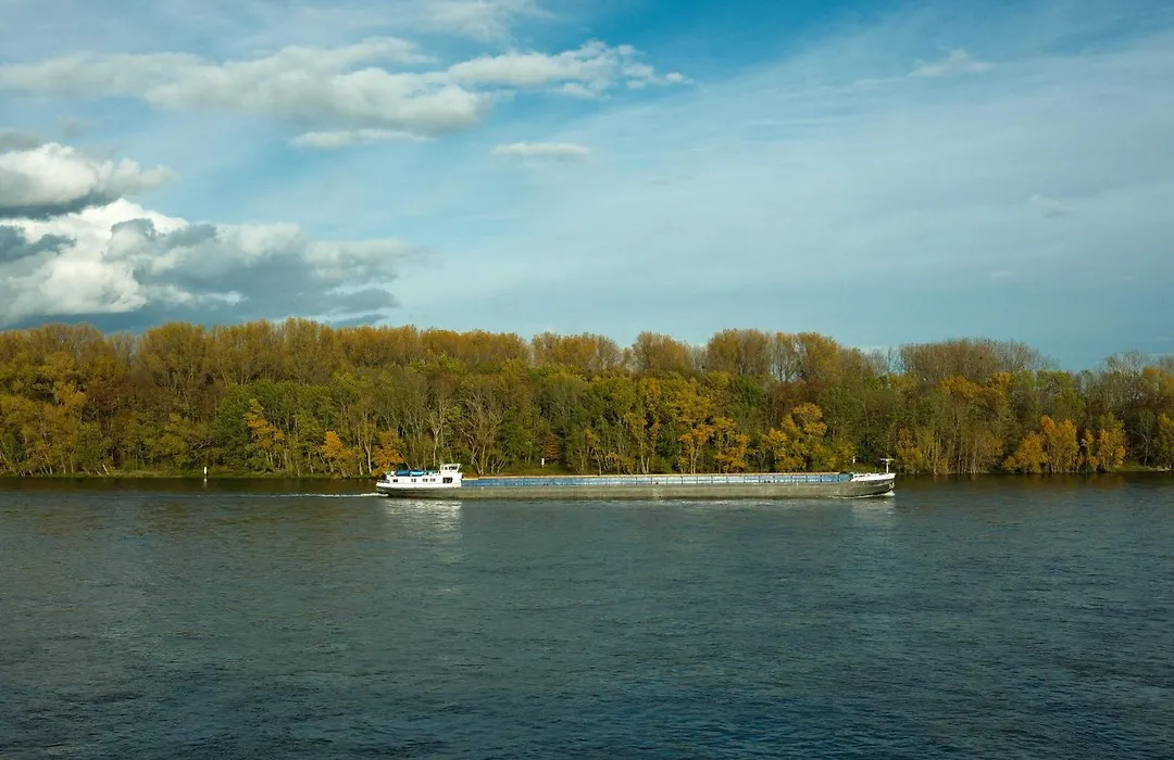 Hotel am Rhein-1