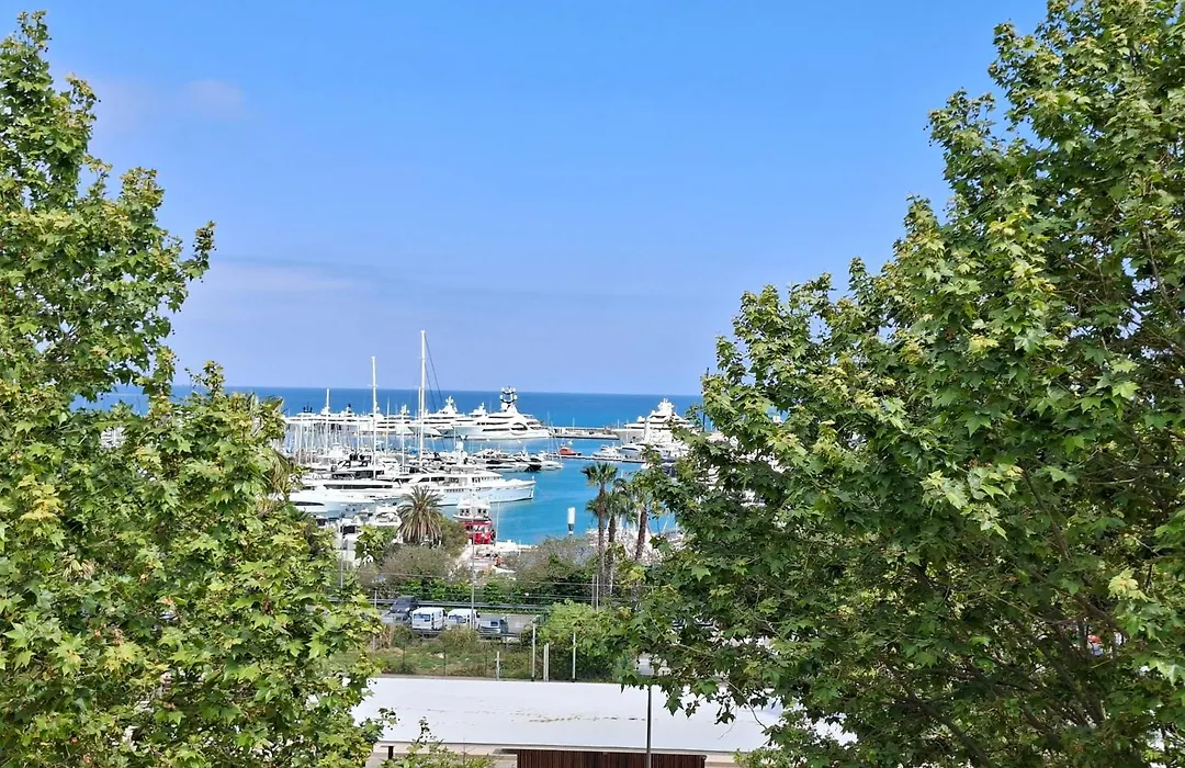 Hotel Le Collier-1
