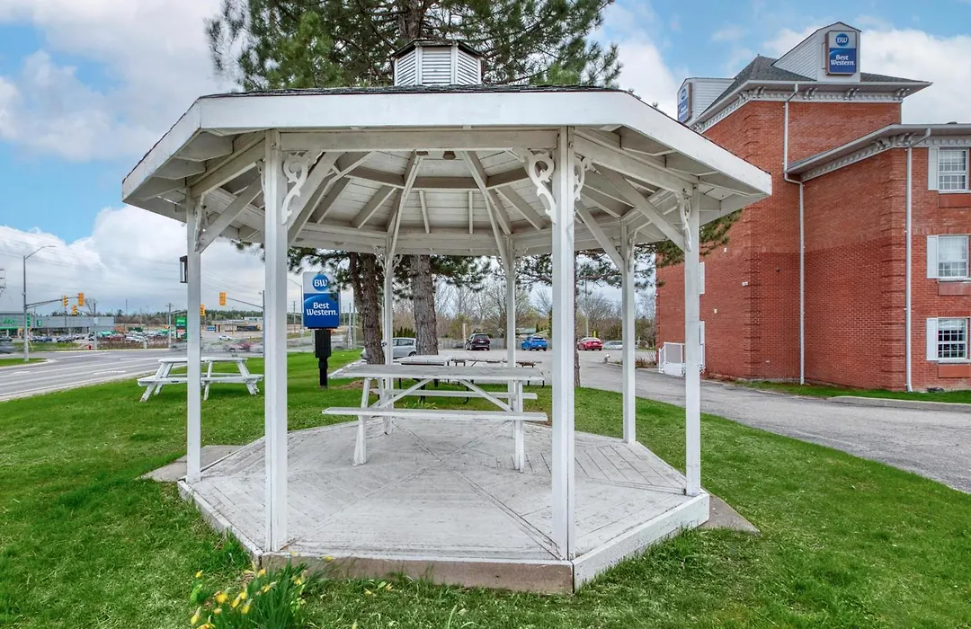 Best Western Kincardine-1