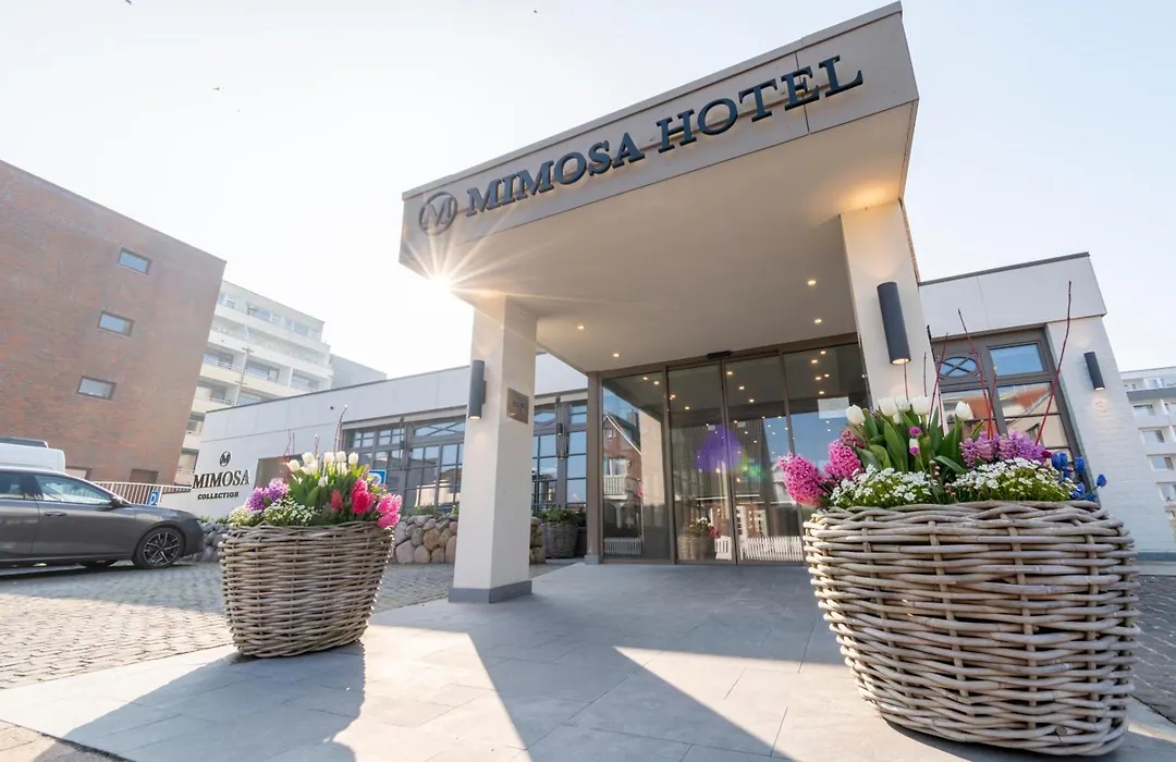 Mimosa Hotel-1