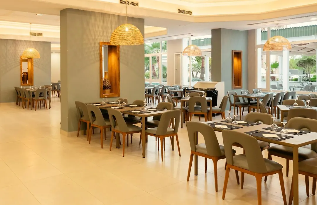 Yadis Hammamet-1