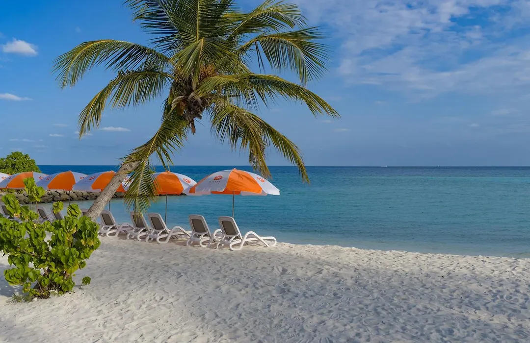 Kaani Beach Hotel - Stay 3 Nights And Save 20 Percent On Spa And 10 Percent On Dining Until 31 October 2026-1
