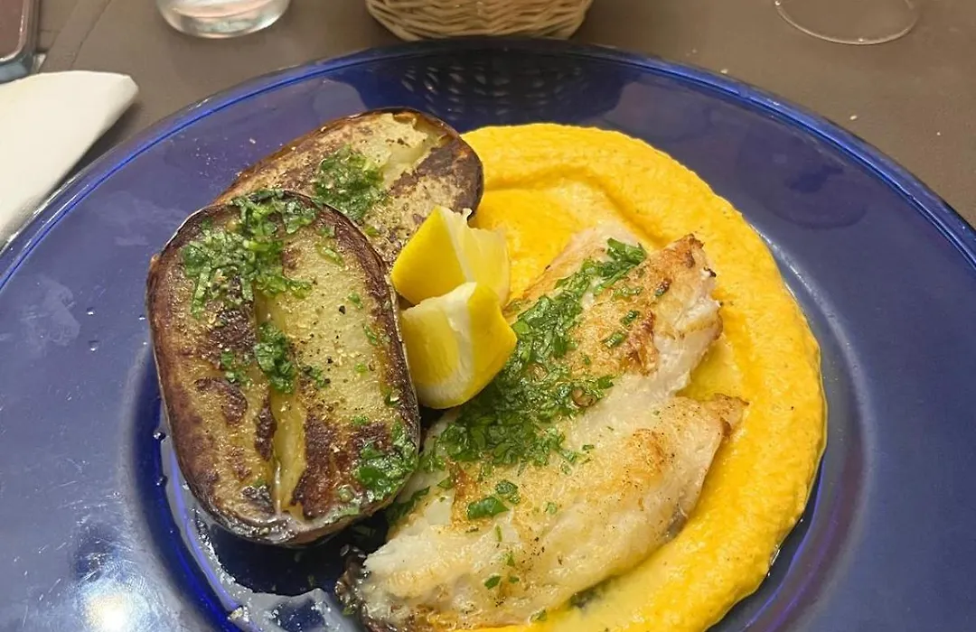 Les Mimosas-1