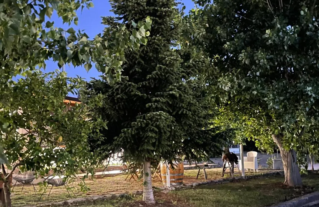 B&B La Formichina-1