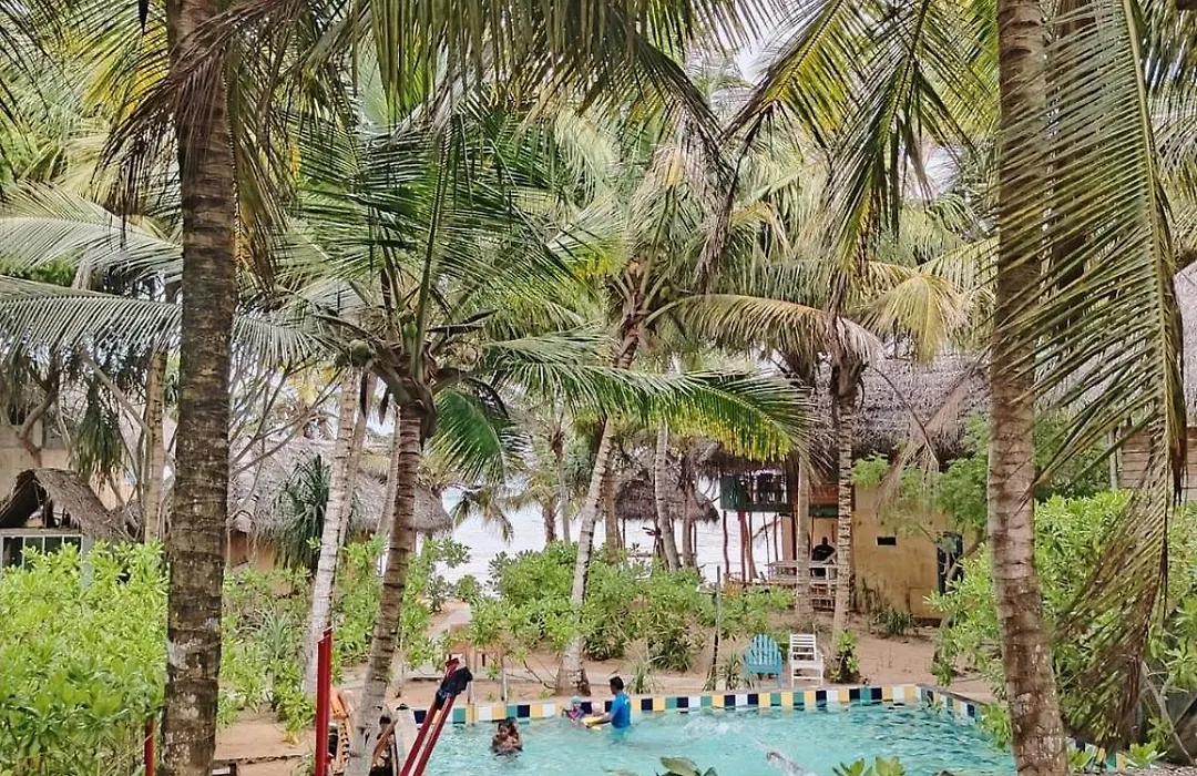 The Alpha Monkey Hotel & Tree House-1
