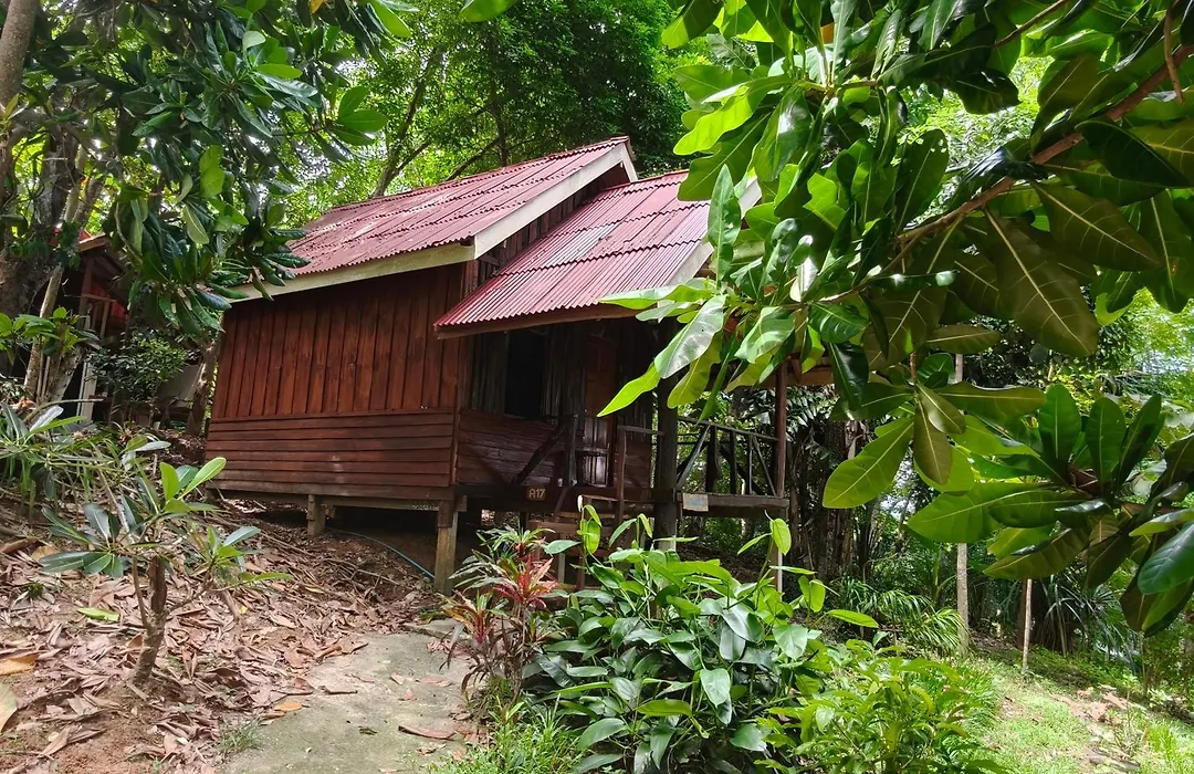 Jungle Hill Beach Bungalow-1