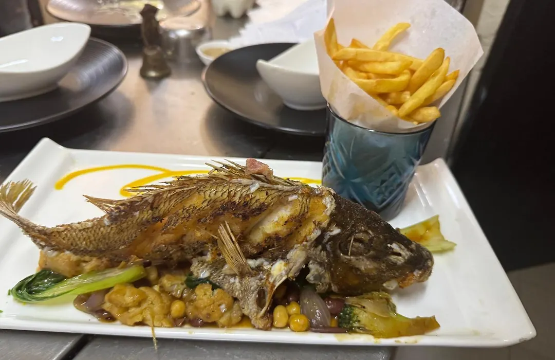 Bon Vivant Front De Mer - Ile Rodrigues-1