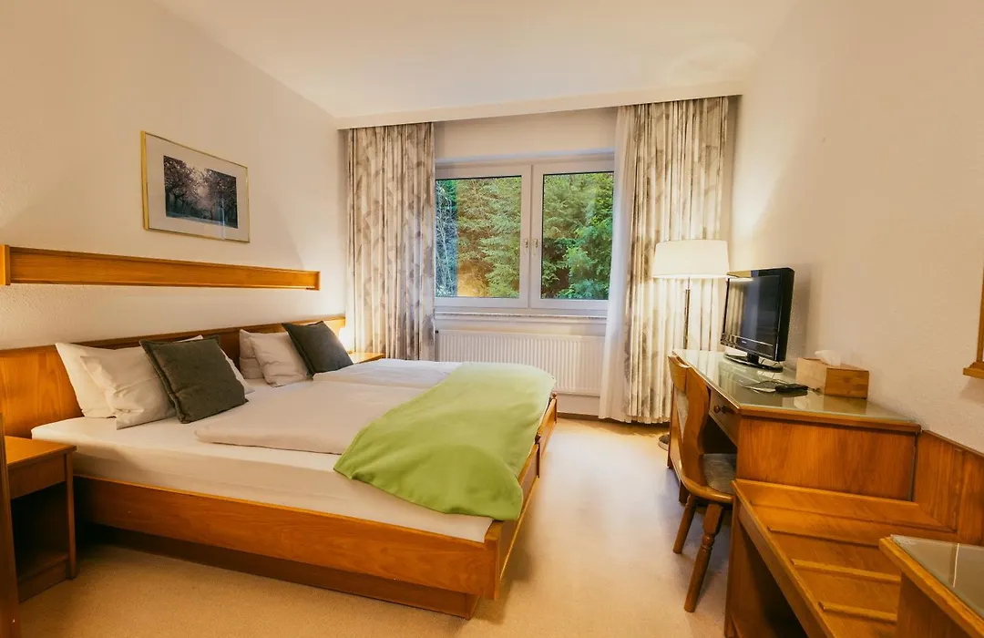Waldhotel Ehrental-1