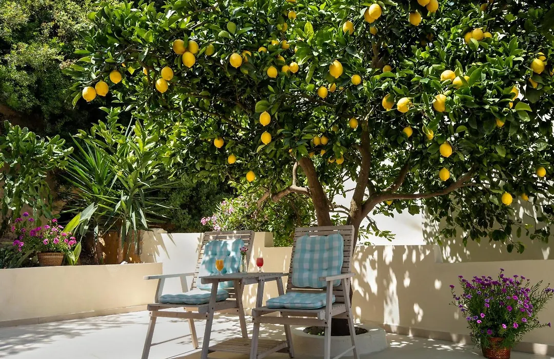 Agrimia Holiday Apartments-1