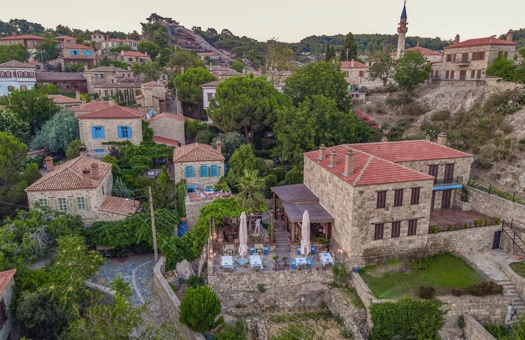 Ida Blue Adatepe (Adults Only)-1
