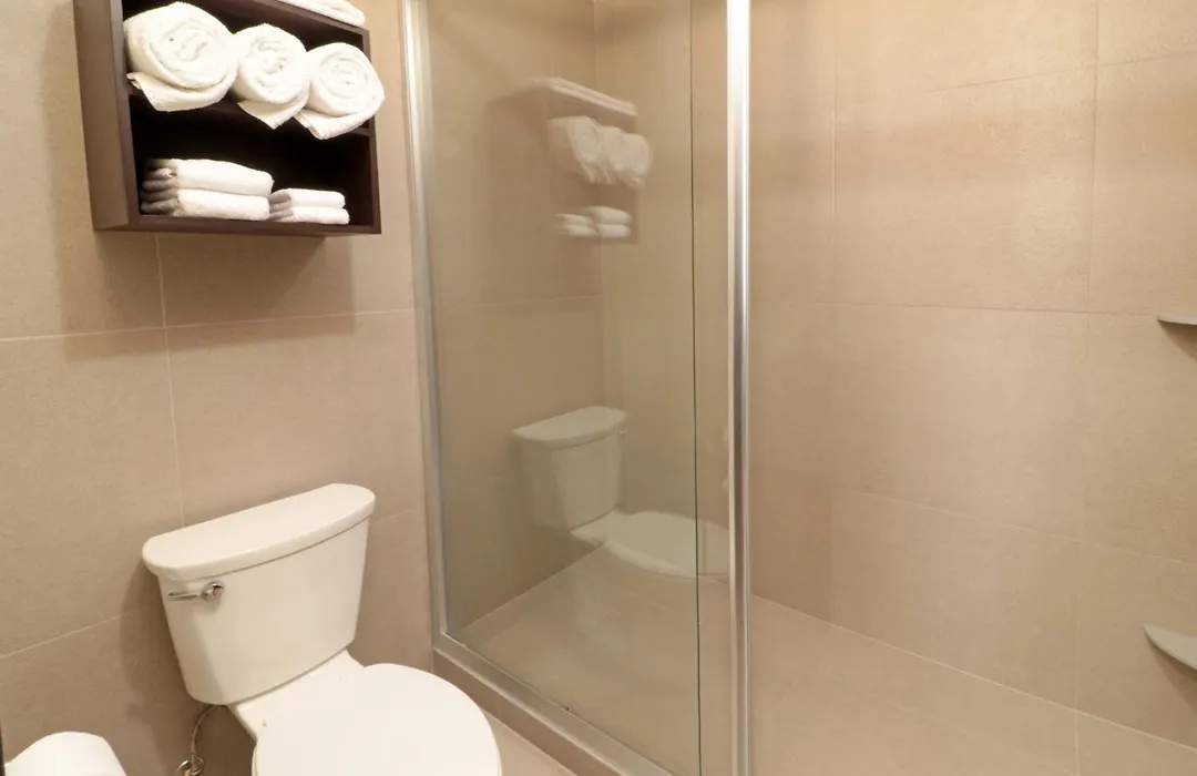 Staybridge Suites San Luis Potosi By Ihg-1