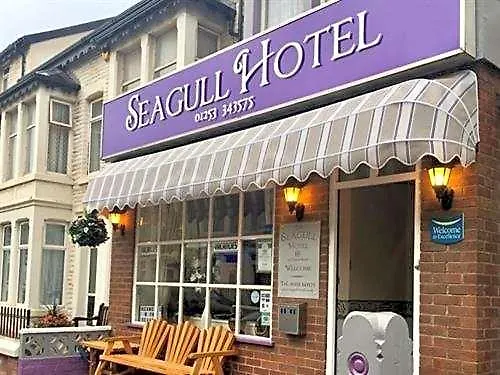 Seagull Hotel-1