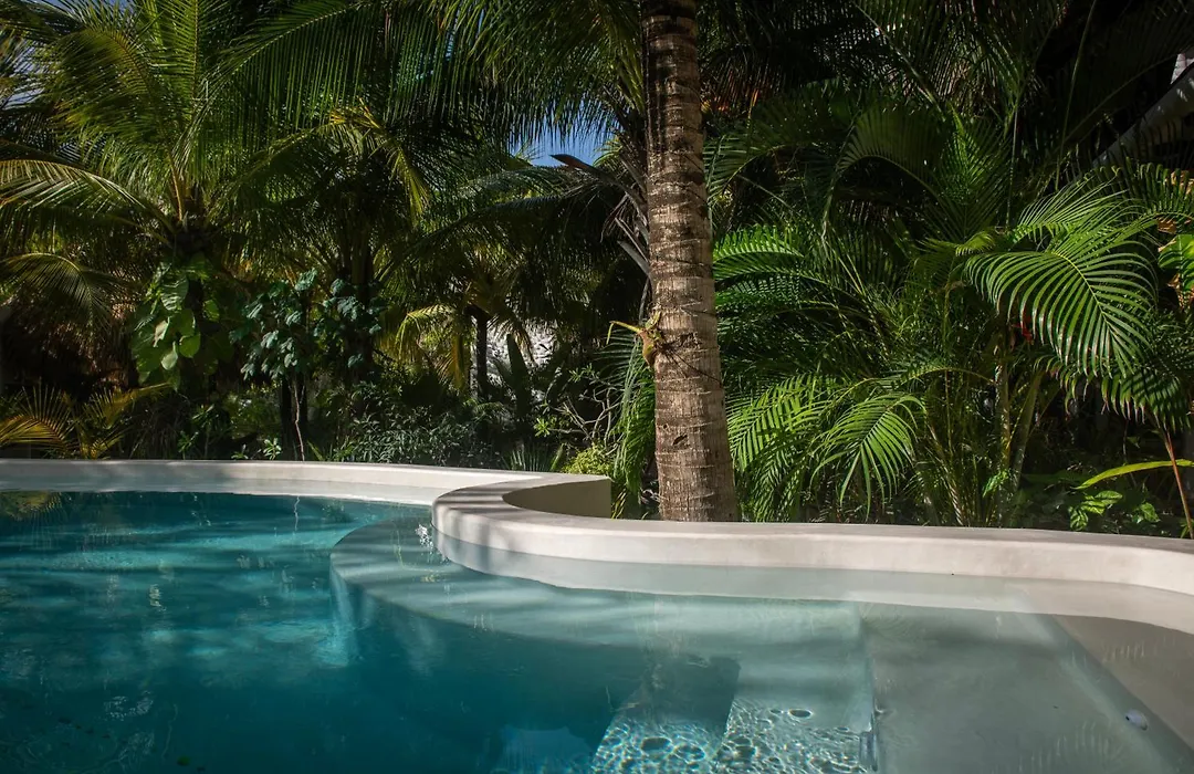 El Corazon Boutique Hotel - Adults Only With Pool & Beach Club Access-1