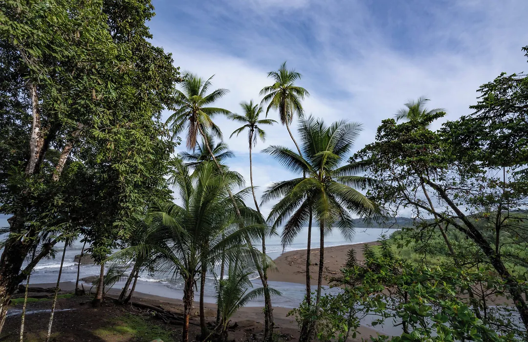 Pirate Cove-1