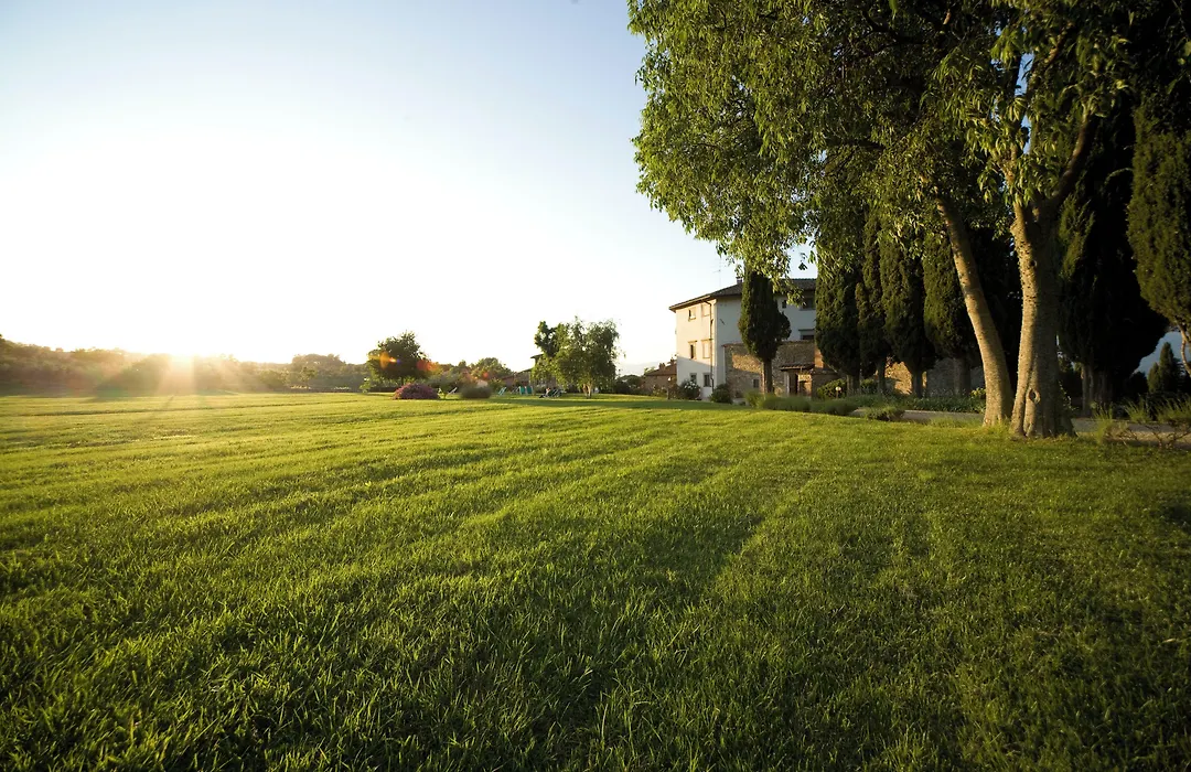 Villa Campestri Olive Oil Resort-1