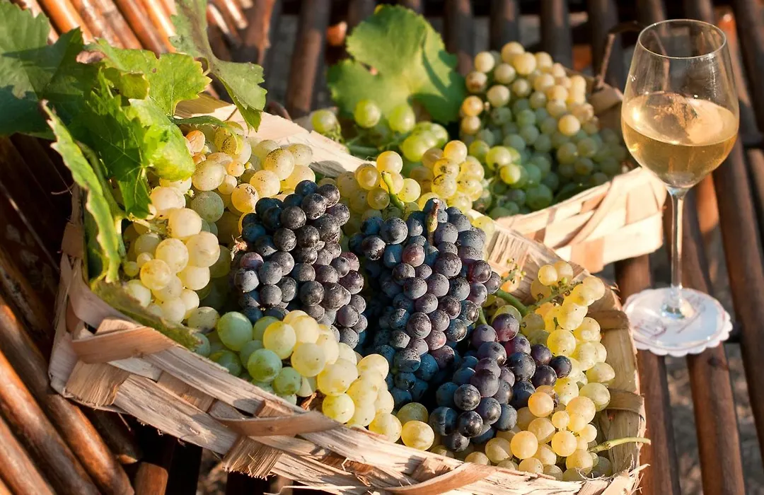 Albergo 'La Vigna'-1