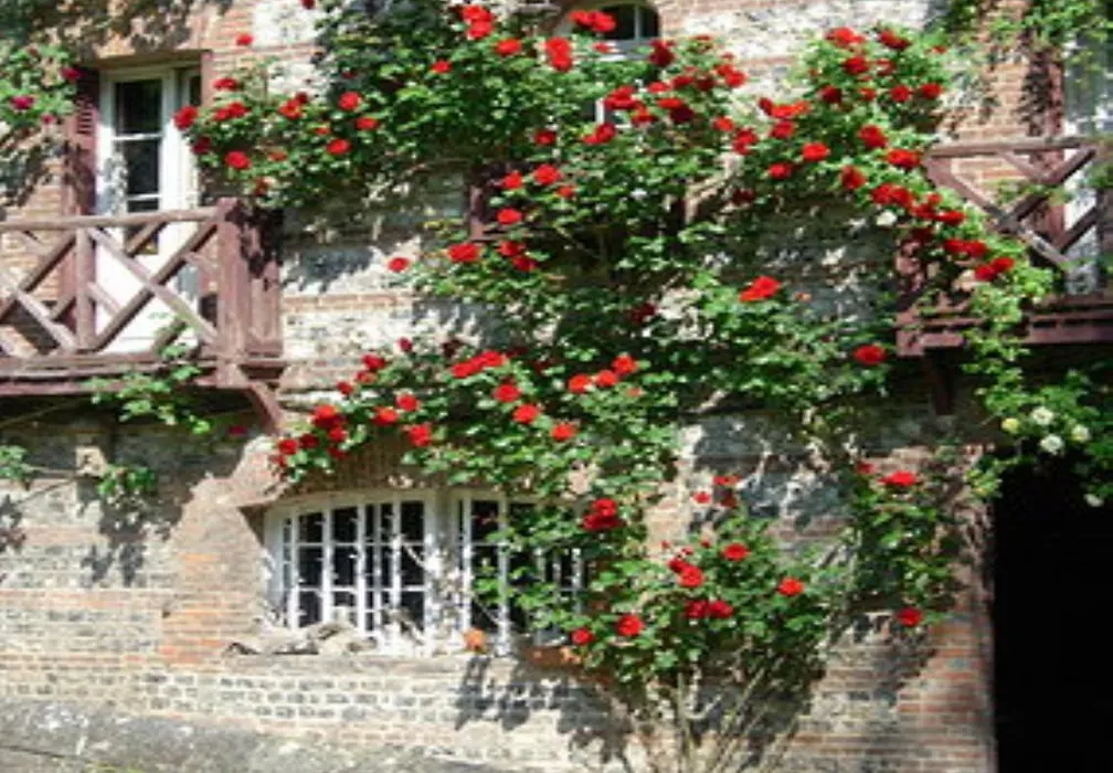 Le Moulin Fleuri Du Petit Appeville-1