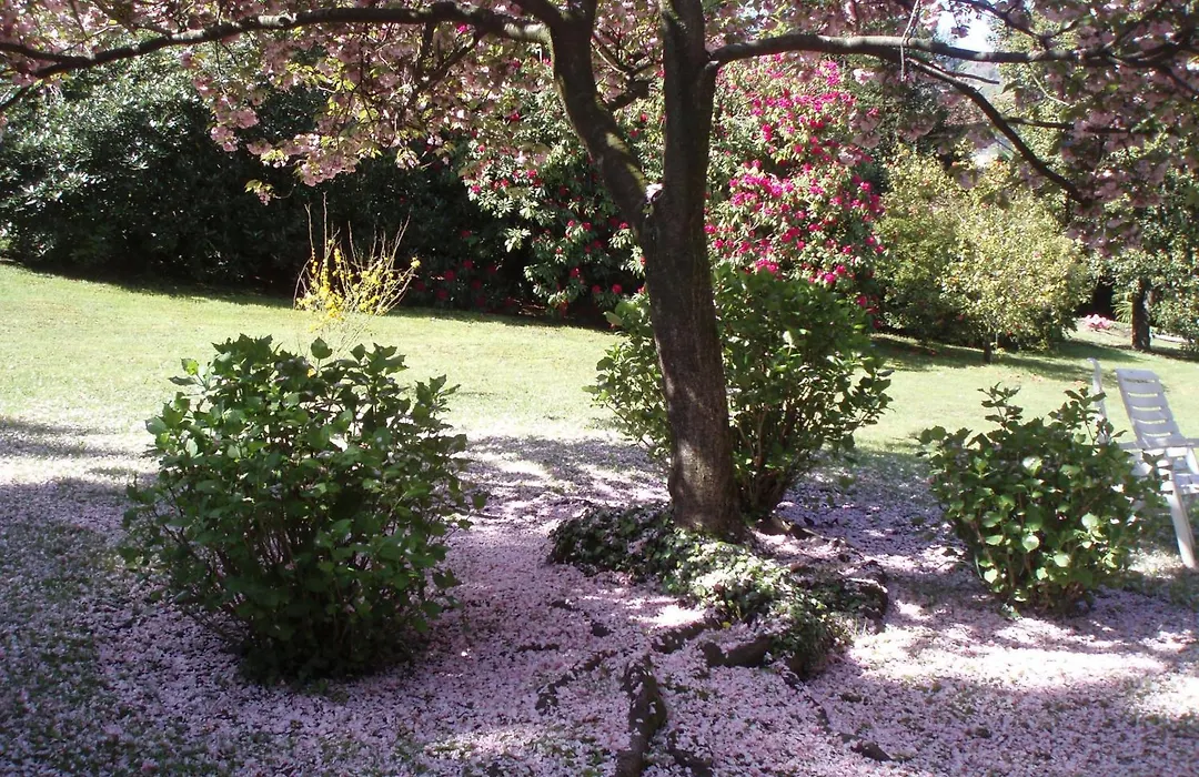 Du Parc Dipendenza-1