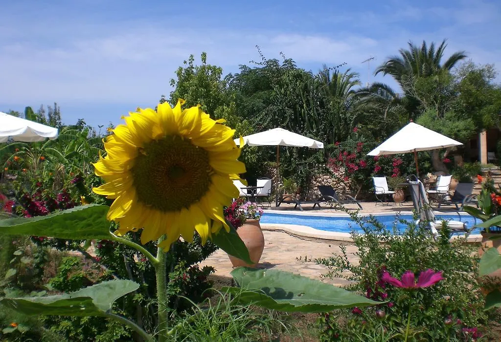 Agroturismo Na Set Centes - Adults Only-1