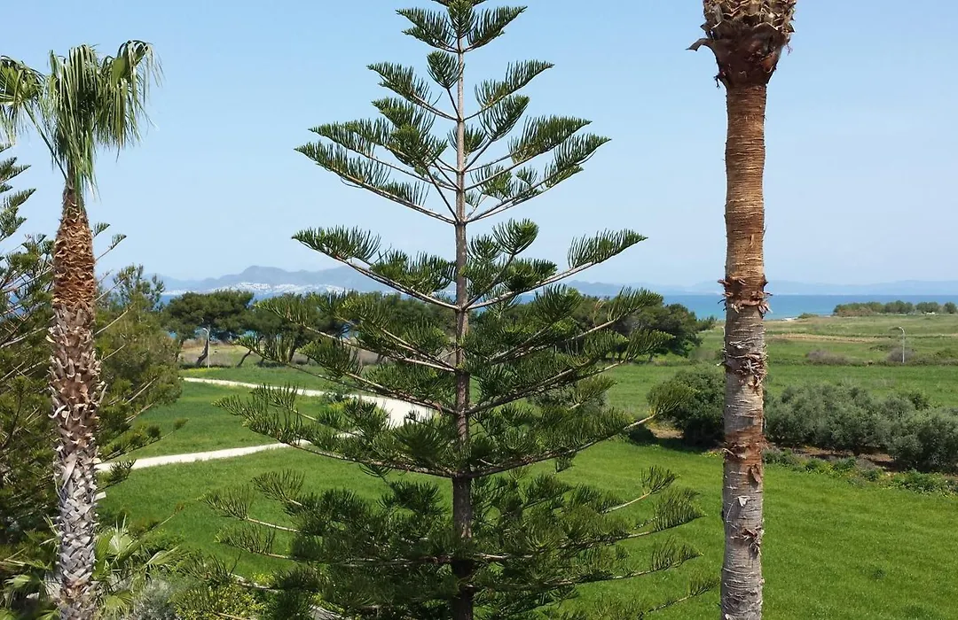 Blue Nest Hotel-1