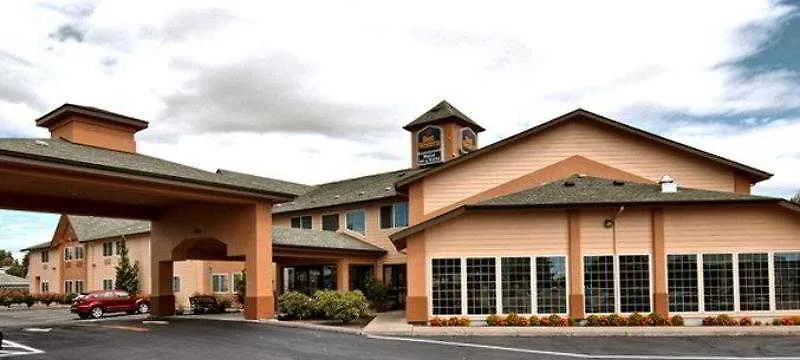 Best Western Dallas Inn & Suites-1