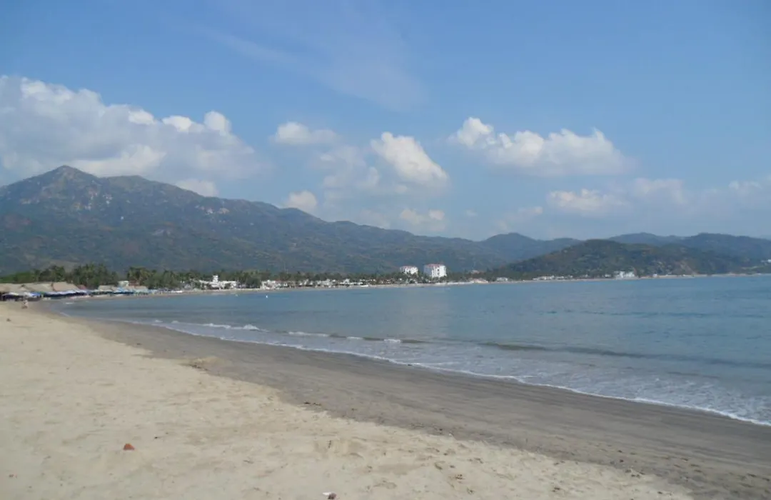 Palma Real-1