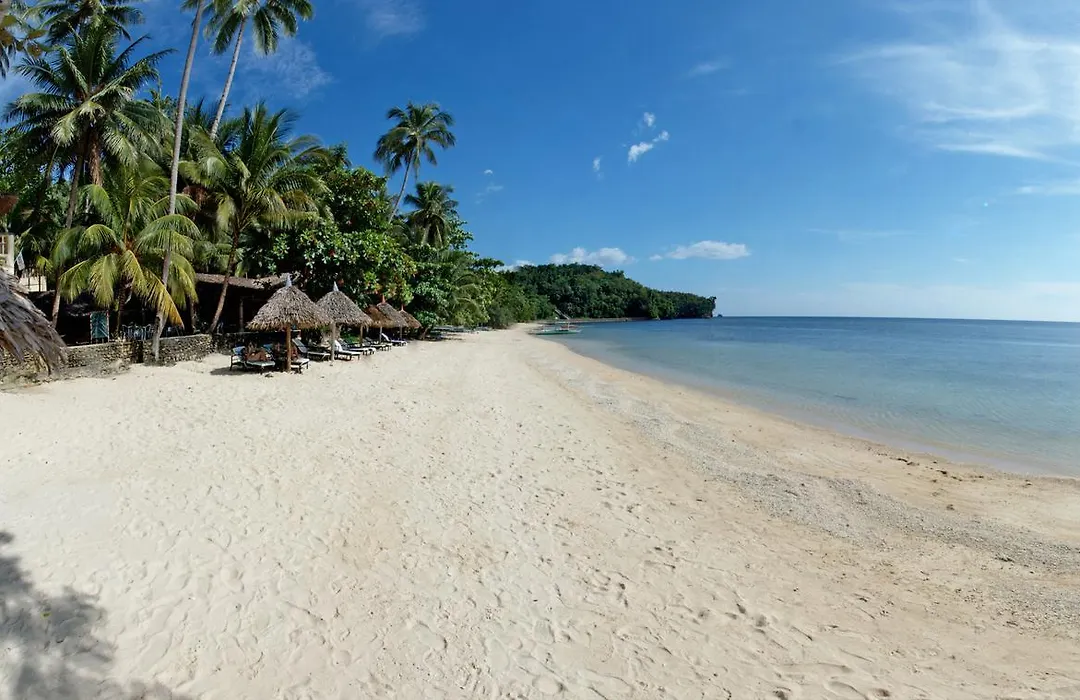 Easy Diving And Beach Resort-1