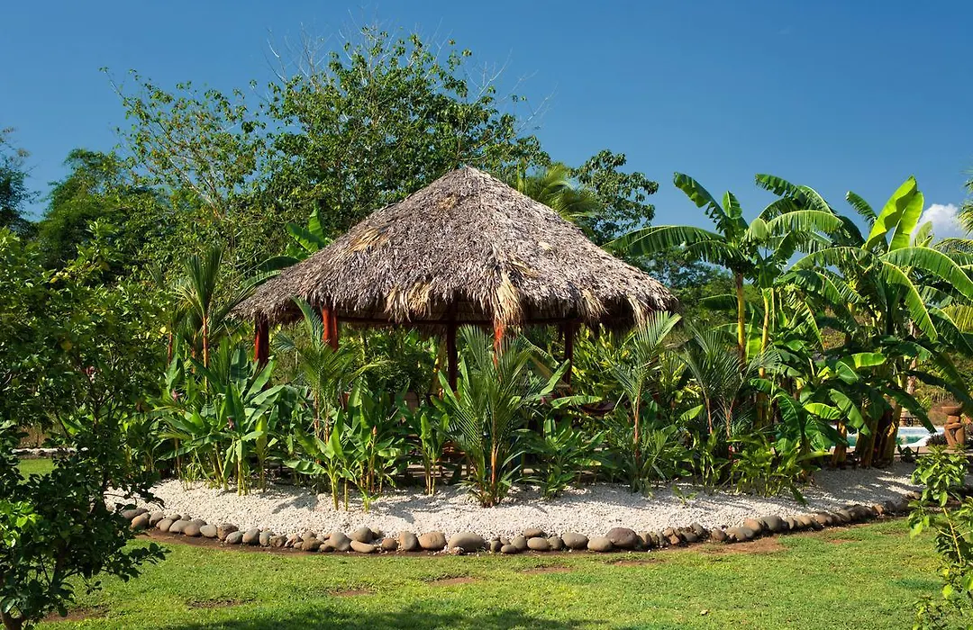 Cabo Velas Estates-1