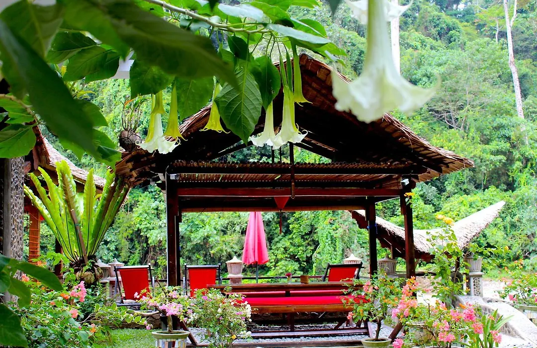 Ecotravel Cottages Bukit Lawang & Jungle Trekking-1