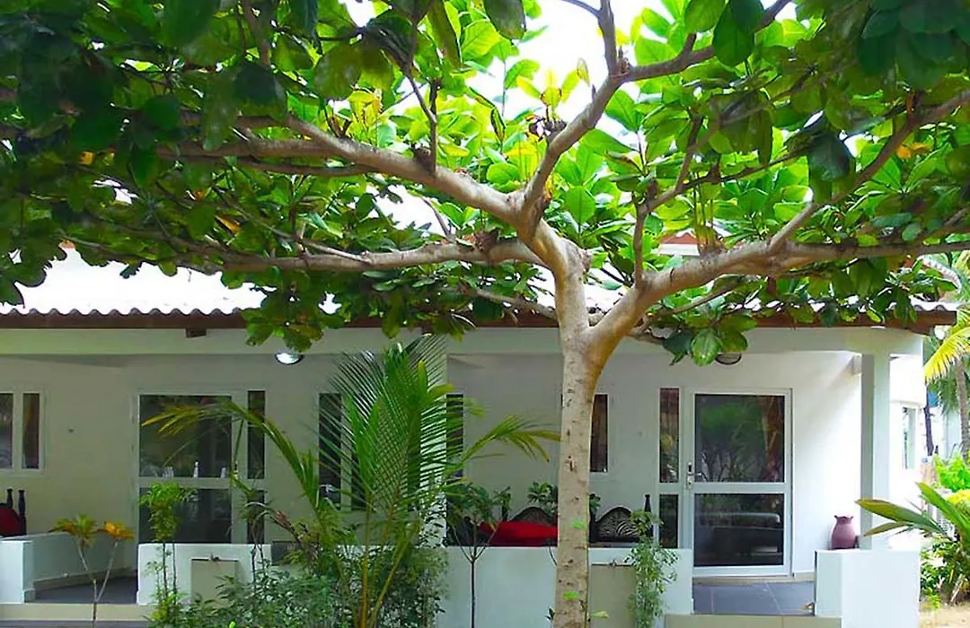 Hotel Village Vacances Awale Plage-1
