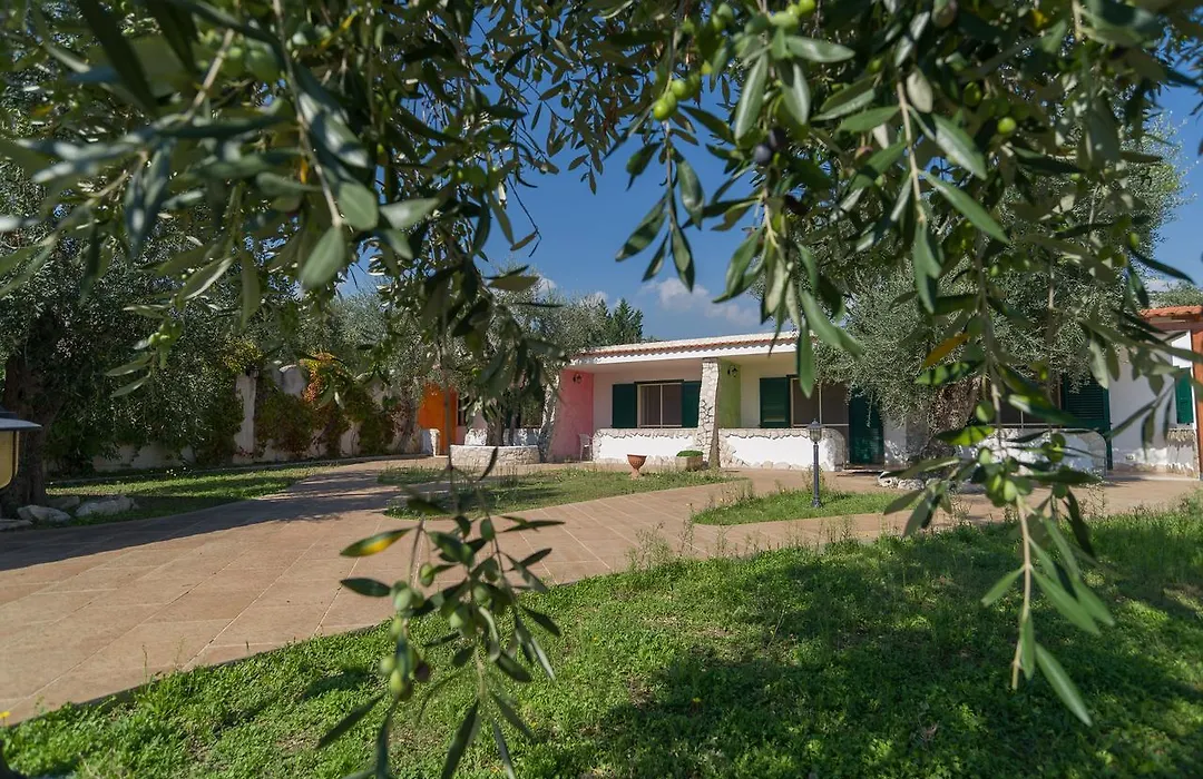 Borghetto Tio Pepe-1