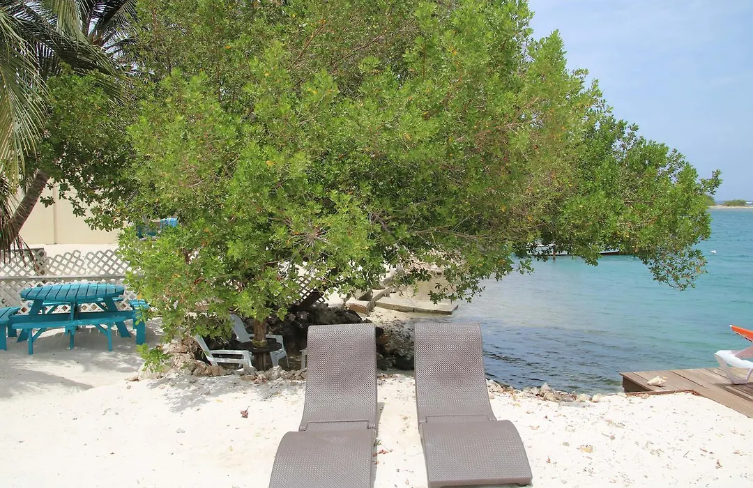 Coral Reef Beach-1