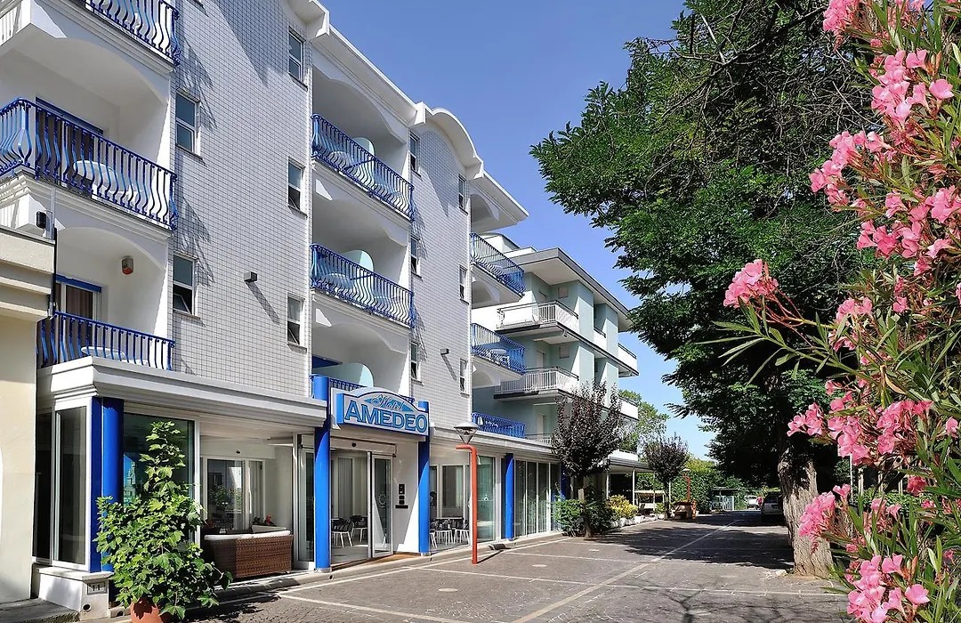 Hotel Amedeo-1
