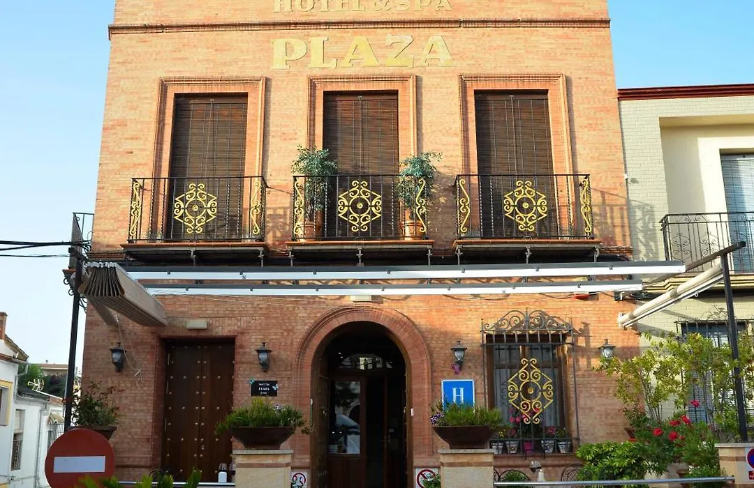Hotel & Spa Plaza Arriate-1